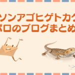 ローソンアゴヒゲトカゲのぽろブログのまとめ